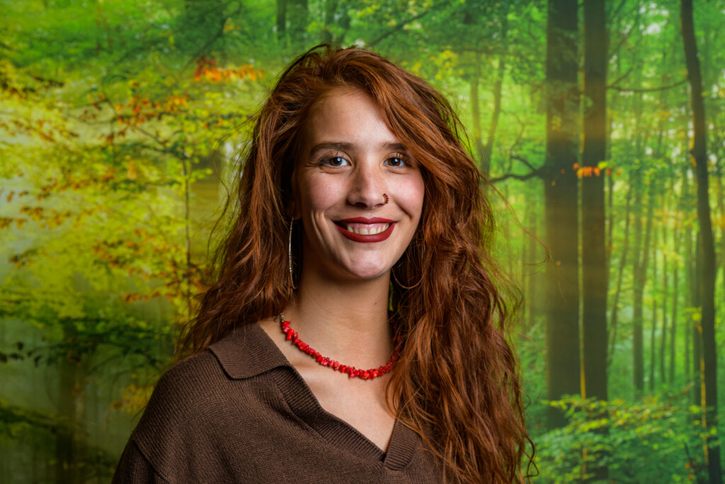 Demi Maail